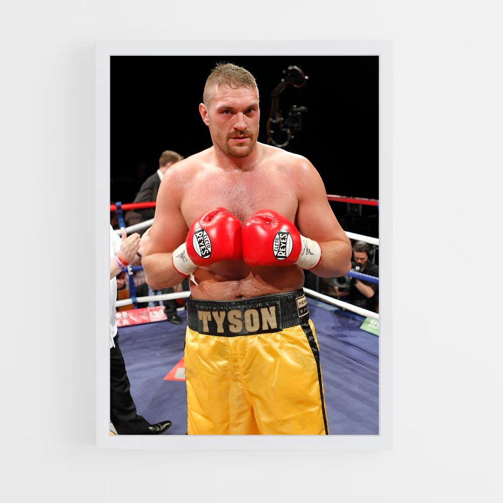 Poster Tyson de fury (vue 3)